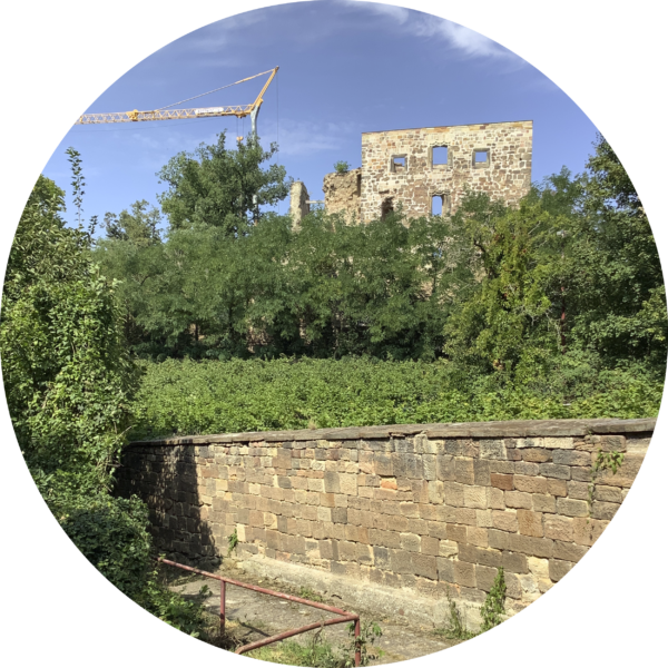 Burg- und Schlossruine Nebra